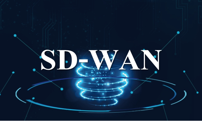 SD-WAN组网：引领下一代网络架构的革新之旅